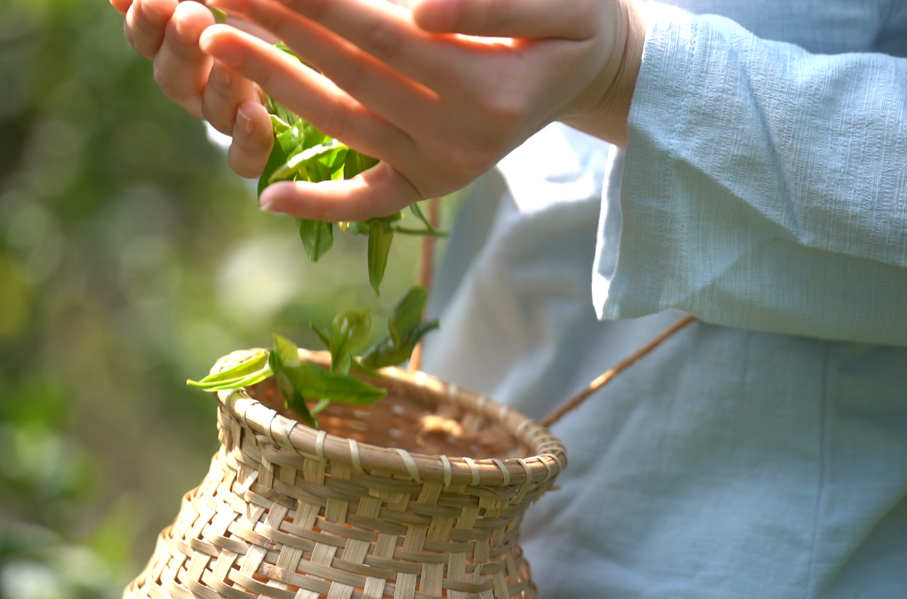 微信圖片_20250317134955.png 微信圖片_20250317134955.png